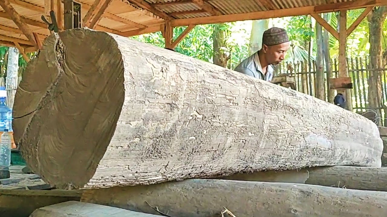 sawing dry teak wood full of old grain into super 7×14 blocks - YouTube