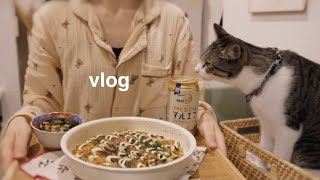 [Vlog] A 30-something office lady living with a cat keeps her organized on the weekend 🧘‍♀️ screenshot 5