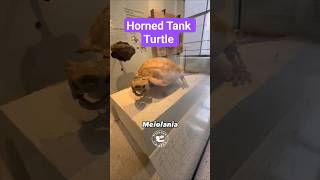Horned Tank Turtle from the Ice Age