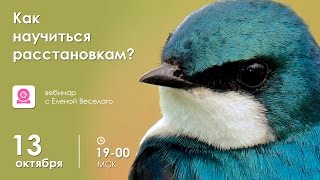 Как научиться расстановкам — бесплатный вебинар от 13 октября 2016 года