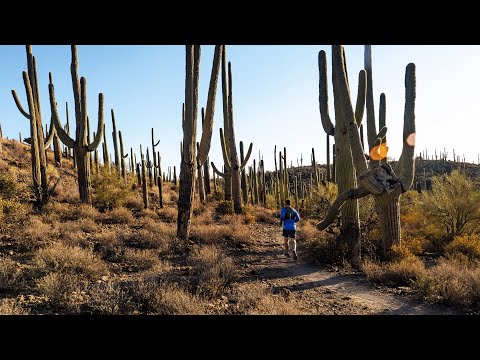 Discover Marana Arizona Close To Everything Far From Ordinary