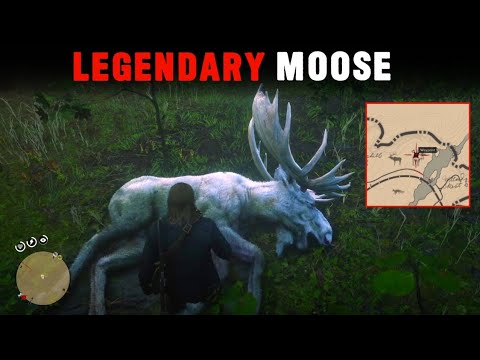 How to hunt Legendary Moose in RDR2 with location - YouTube