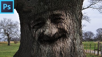 Photoshop Tutorial_ How to Camouflage a Face onto Gnarly, TREE Bark