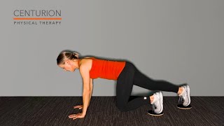 Bear Plank with Retro Leg Slides with Sliders
