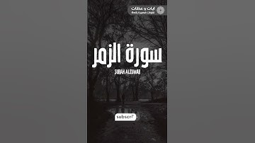 تلاوة أكثر من رائعة لسورة الزمر🍃🕊