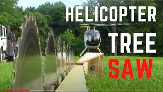 Helicopter Tree Sawing In The MD 500