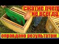 Почему я не вжимаю пчел весной? Метод Блинова для сильных семей это ущерб пасеке по расплоду