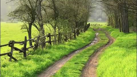 خواتيم سورة البقره