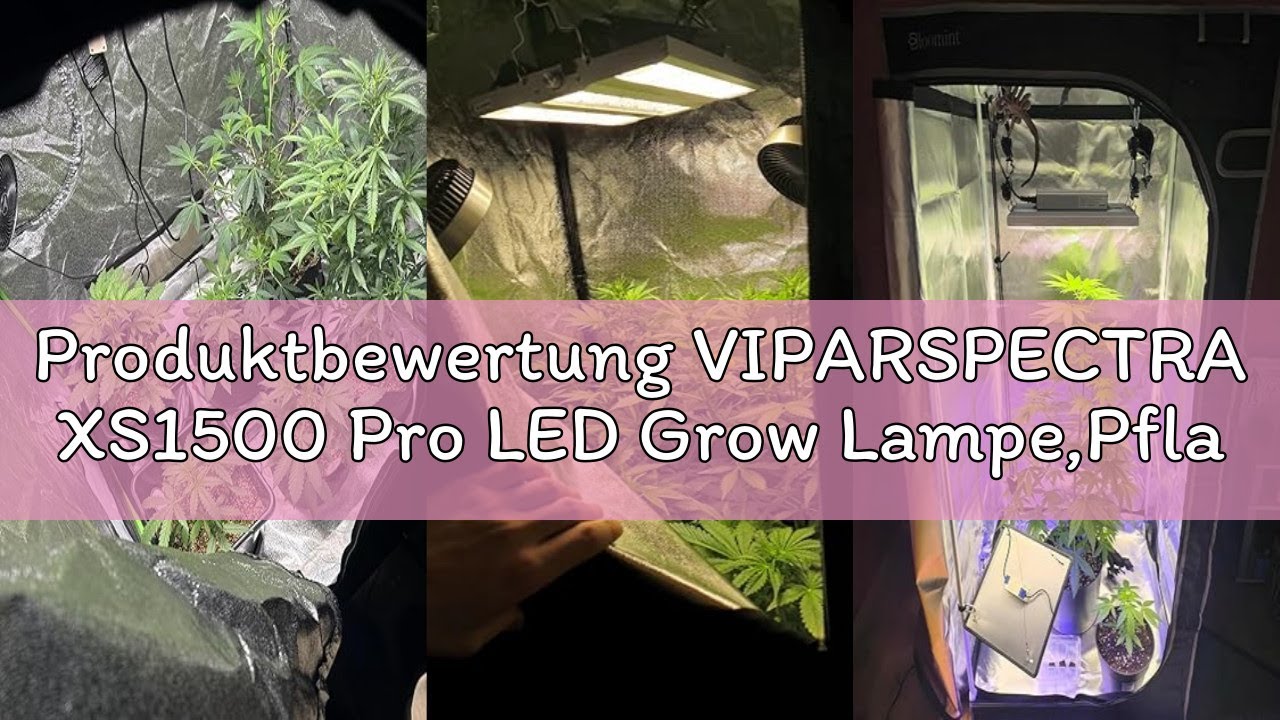 Produktbewertung VIPARSPECTRA XS1500 Pro LED Grow Lampe,Pflanzenlampe LED Vollspektrum,Neue Gen Lins