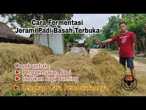 Video: Cara Membuat Kolam Bersimen: 12 Langkah (dengan Gambar)