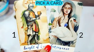 PICK A CARD || YOUR PERSON ❤️ THEIR CURRENT FEELINGS• THOUGHTS & INTENTIONS 🤔