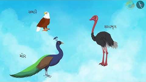 Farrrrr... | Bhag 1/2 | Prakaran 8 | Dhoran 3 | Paryavaran