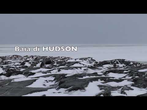 Video: Chi possiede la Baia di Hudson?