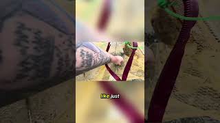 Clearing Out Some More Invasives