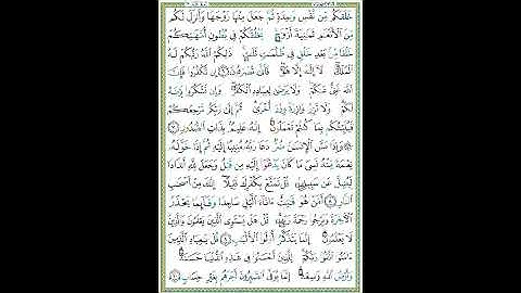 سورة الزمر الصفحة  ٤٥٩