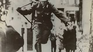 Download Lagu Manimal st LP MP3