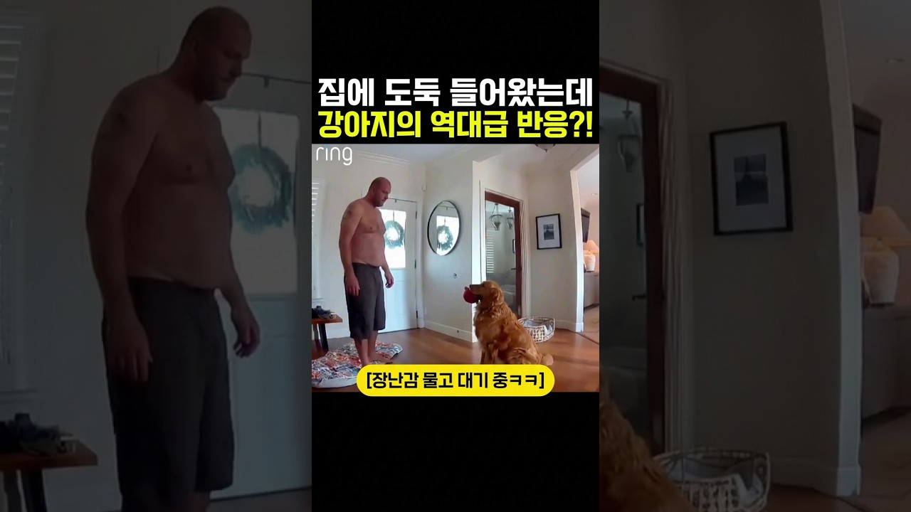 집에 도둑이 들었는데 강아지 반응이…?