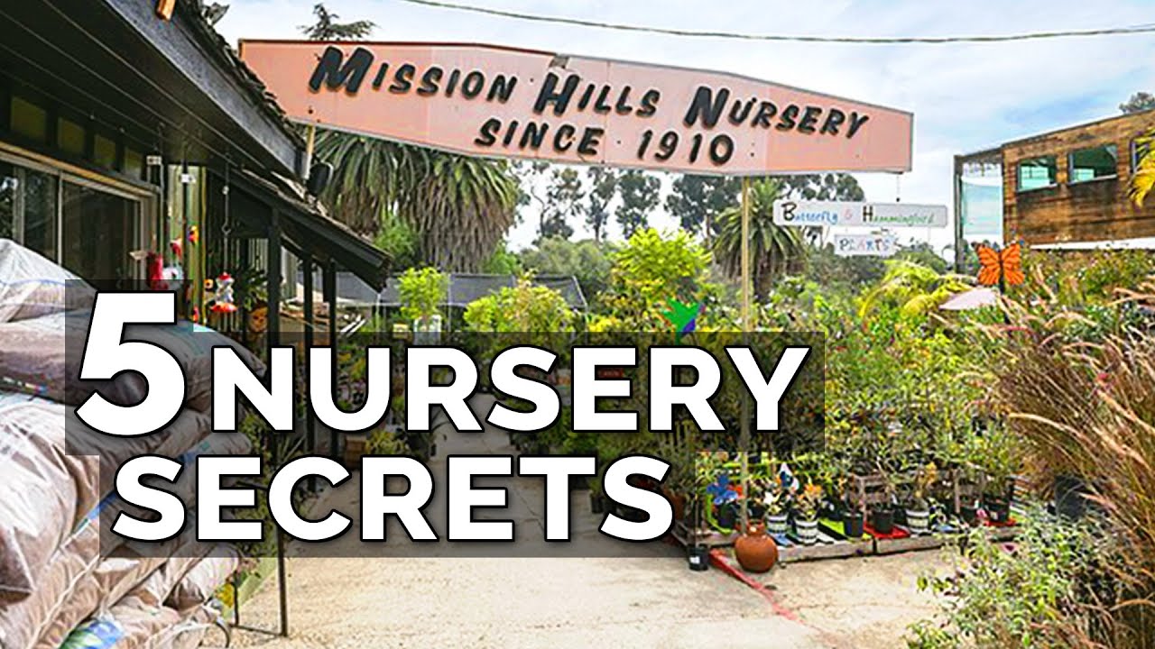 How Do Nurseries Grow Plants So Fast
