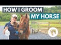 How to Groom a Horse (Step-By-Step Guide)