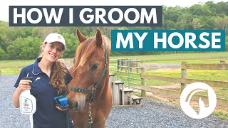 How to Groom a Horse (Step-By-Step Guide)