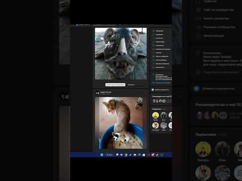 ОБЗОР ФОТОЛУПОВ #shorts