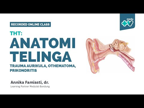 THT: Anatomi Telinga, Trauma Aurikula, Othematoma, Perikondritis | Medulab