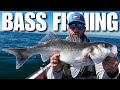 THIS Is How to Catch Big Bass - Lure Fishing Offshore (UK Sea Fishing)