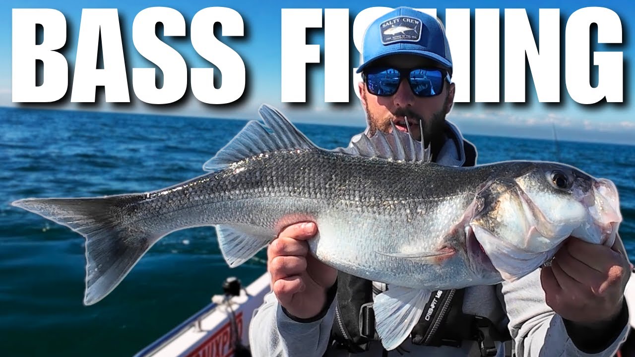 THIS Is How to Catch Big Bass – Lure Fishing Offshore (UK Sea Fishing)