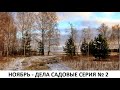 Ноябрь - дела садовые серия № 2.