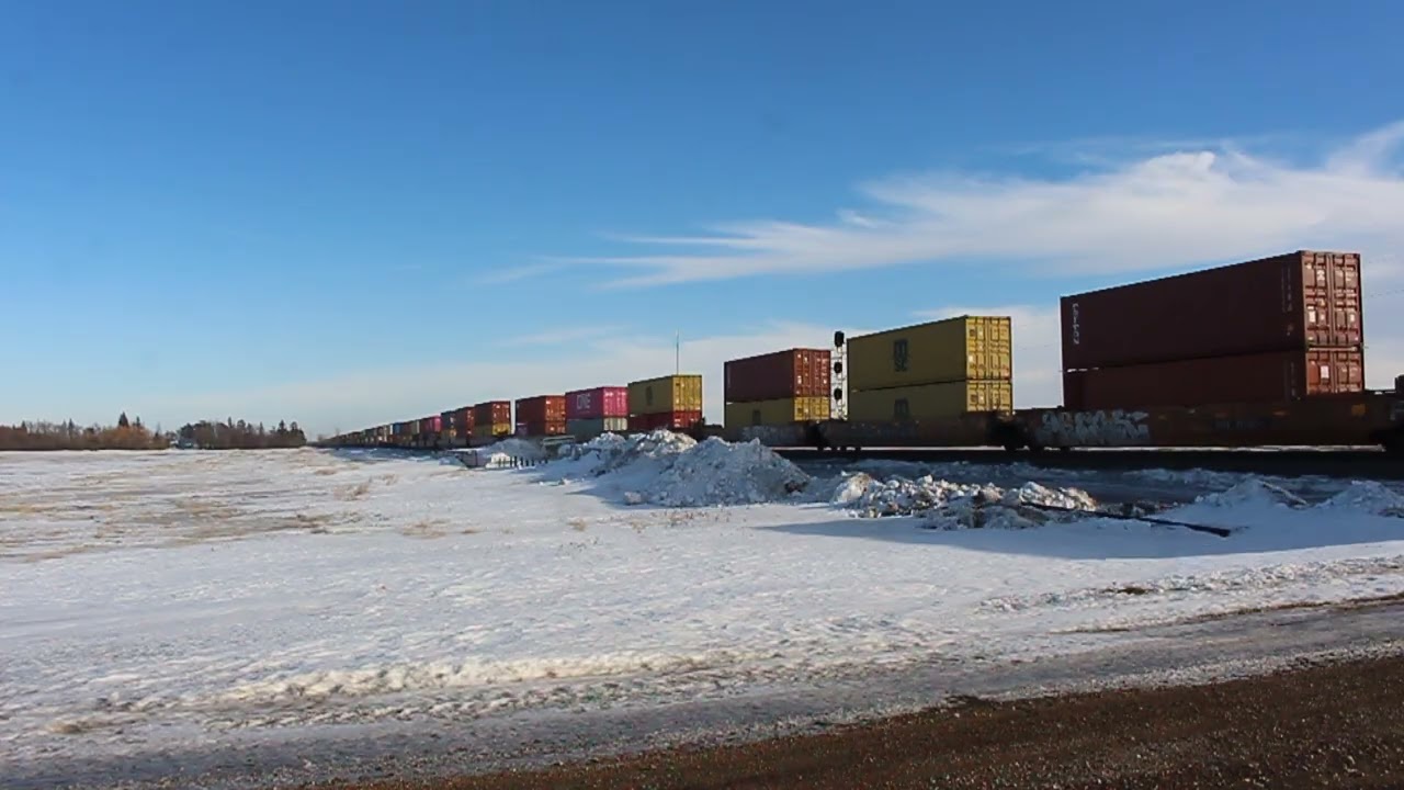 Eastbound CN Train (Intermodal) (Thursday February 12 2026)