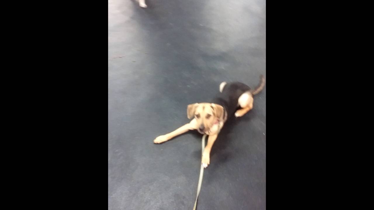 Riley throwing a fit