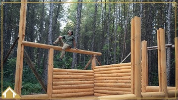 EP16: Self Harvested Log Cabin Build / Raising Massive Post Alone