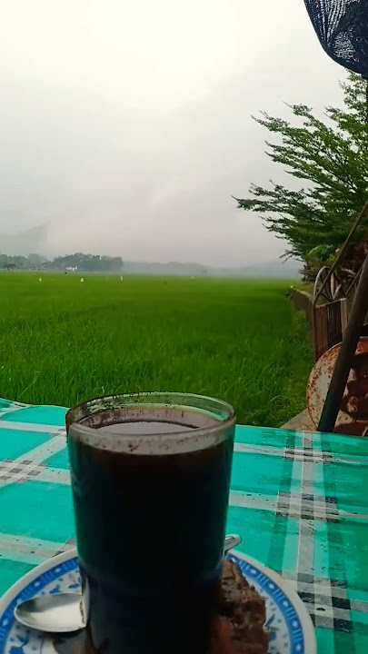 Ngopi saat gerimis dan berkabut #suasanapedesaan #pemandangan #sawah