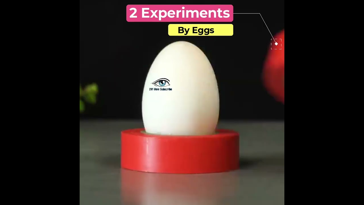 Two amazing magical experiments with eggs 