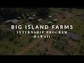 Big island farms internships follow the sun