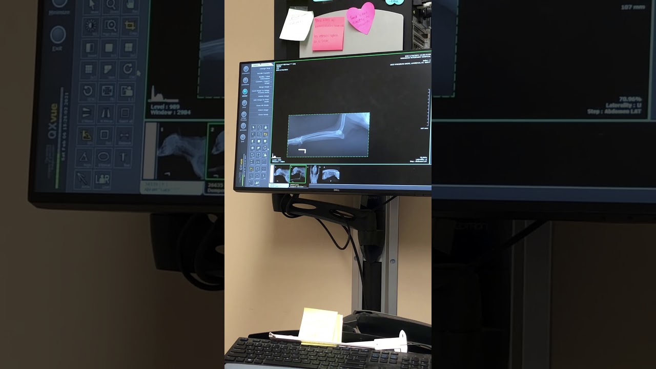 Feldkamp Task 2.3 VM 215