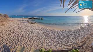 ☀️ Live Caribbean beach cams🎵 Relaxing Lounge Music 24/7