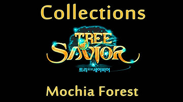 Tree of Savior Collections - Mochia Forest