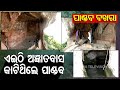 Special Story | Mysterious Cave In Odisha's Banki Where 'Pandavas Spend Agyatvas'