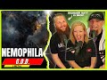 NEMOPHILA "G.O.D."  // Audio Engineer, Drummer &amp; Wifey FIRST-TIME Reaction &amp; Review