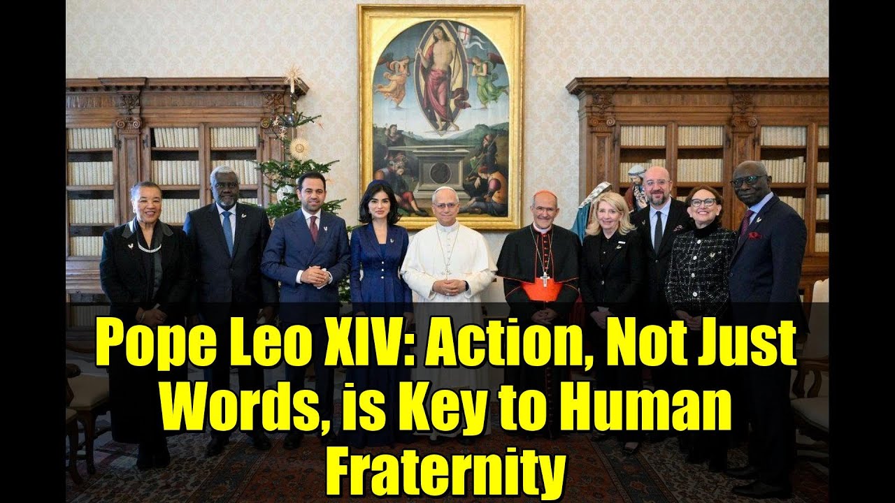 Pope Leo XIV: Action, Not Just Words, is Key to Human Fraternity | Zayed Award Insights