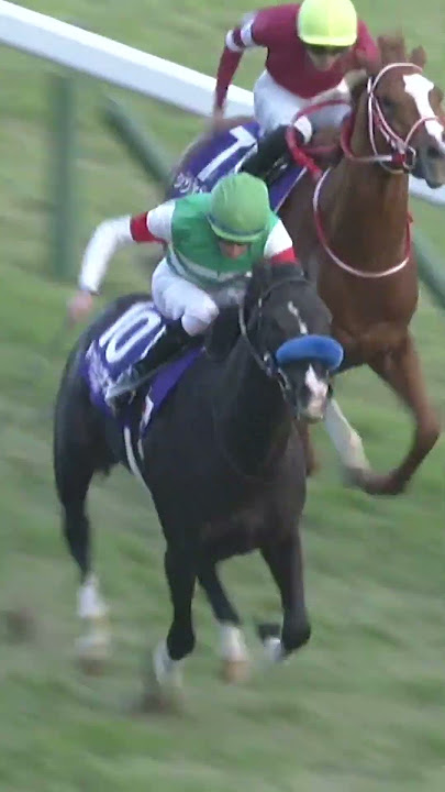 Yutaka Take's Record BREAKING 5th Japan Cup Win with DO DEUCE!