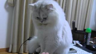 20150710 パン Part2