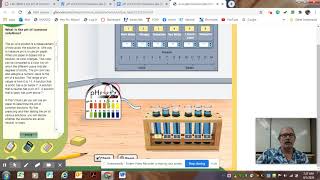 DIRECTIONS:  Lab - What is the pH of Common Solutions
