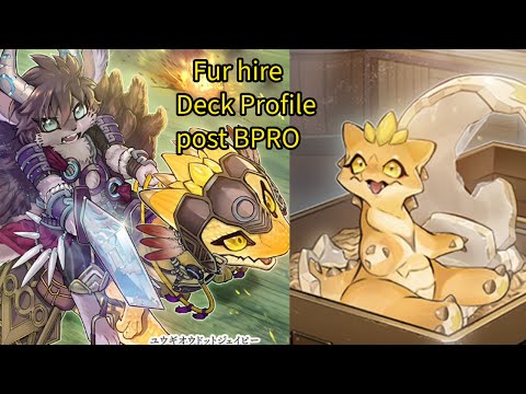 yugioh fur hire deck profile Complete Custom for Yu-Gi-Oh! Fur Hire Deck Profile Post