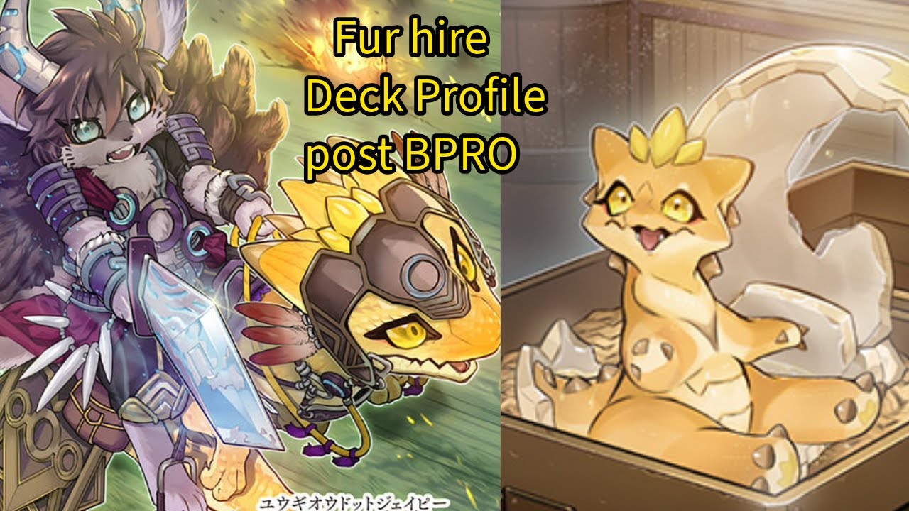 Fur Hire Deck Profile Post BPRO