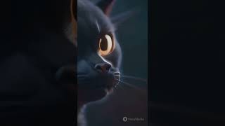 Why Do Cats Stare at Nothing? 👁️ The Creepy Truth! #shorts