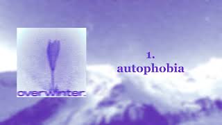 Fisstza - overwinter (FULL ALBUM)