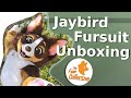 JAYBIRD CHIHUAHUA FURSUIT UNBOXING - The Fur Collective