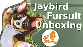 JAYBIRD CHIHUAHUA FURSUIT UNBOXING  The Fur Collective